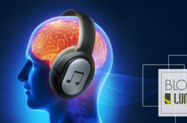Os efeitos da música no cérebro
